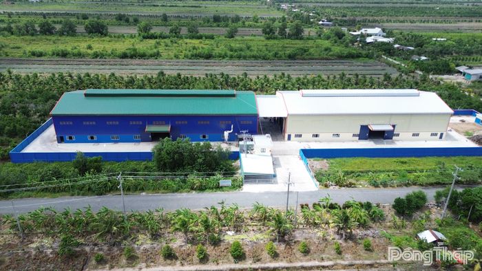 Công ty Cổ phần NINATHAI được tỉnh tạo điều kiện thuận lợi, tháo gỡ khó khăn trong đầu tư mở rộng sản xuất, kinh doanh.