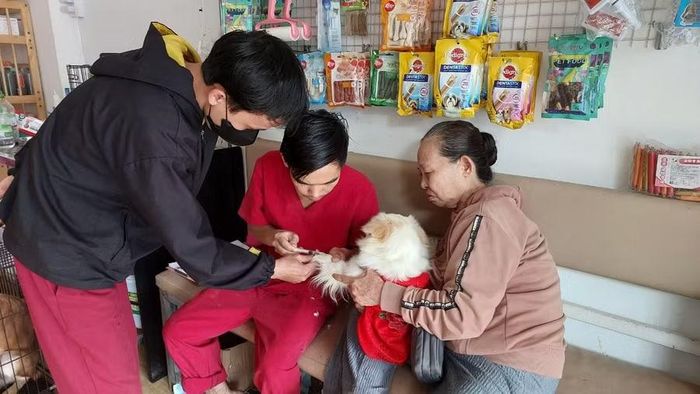 Người dân đưa thú cưng đến các cơ sở thú y tiêm phòng, chăm sóc sức khỏe. Ảnh: N.D