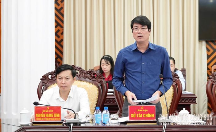 Lãnh đạo Sở Tài chính phát biểu thảo luận tại buổi làm việc