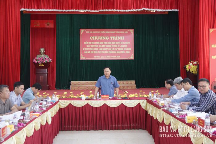 Đồng chí Lương Trọng Quỳnh, Ủy viên Ban Thường vụ Tỉnh ủy, Trưởng Ban Nội chính Tỉnh ủy, Phó Trưởng ban Thường trực BCĐ phát biểu kết luận tại buổi kiểm tra các xã khu vực Bình Gia