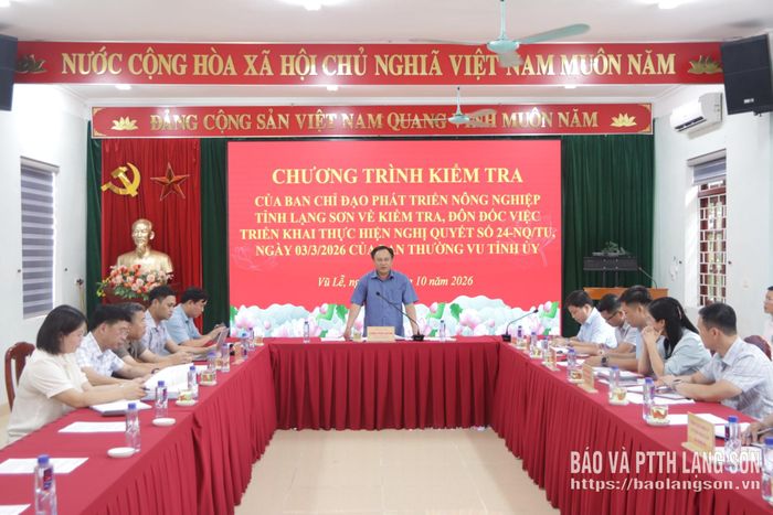 Đồng chí Lương Trọng Quỳnh, Ủy viên Ban Thường vụ Tỉnh ủy, Trưởng Ban Nội chính Tỉnh ủy, Phó Trưởng ban Thường trực BCĐ phát biểu kết luận tại buổi kiểm tra các xã khu vực Bắc Sơn