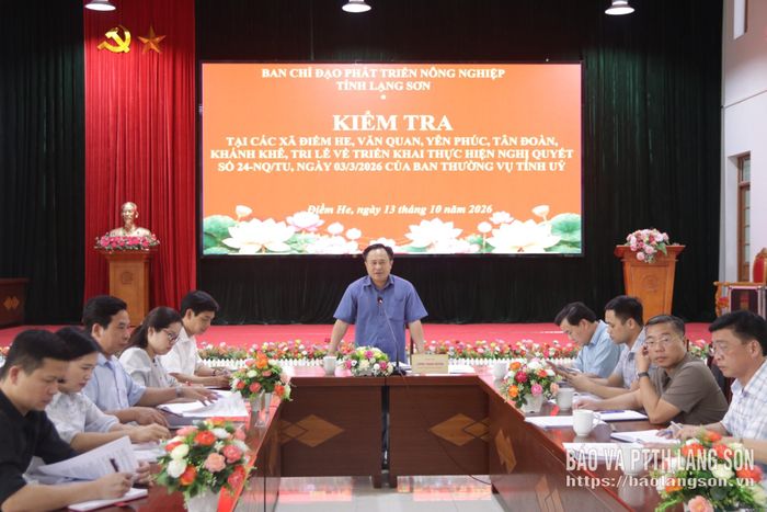 Đồng chí Lương Trọng Quỳnh, Ủy viên Ban Thường vụ Tỉnh ủy, Trưởng Ban Nội chính Tỉnh ủy, Phó Trưởng ban Thường trực BCĐ phát biểu kết luận tại buổi kiểm tra các xã khu vực Văn Quan