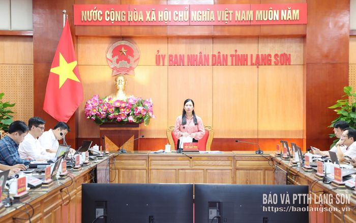 Đồng chí Trần Thanh Nhàn, Phó Chủ tịch UBND tỉnh phát biểu kết luận cuộc họp