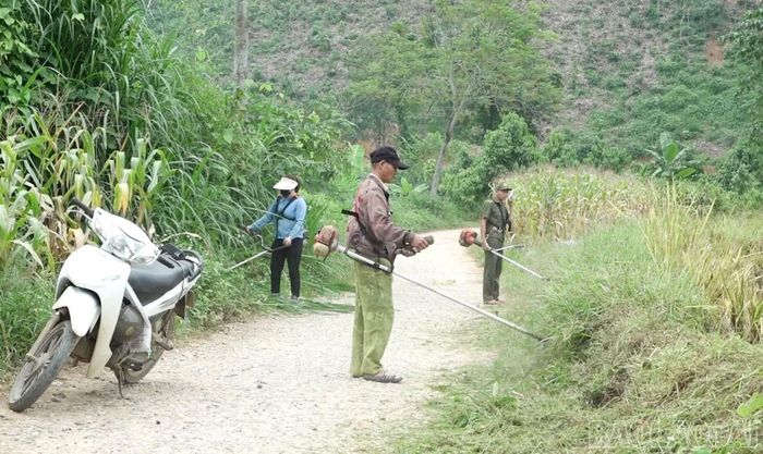 Từ việc thắp sáng đường làng, ý thức giữ gìn cảnh quan của người dân địa phương cũng từng bước được khơi dậy.