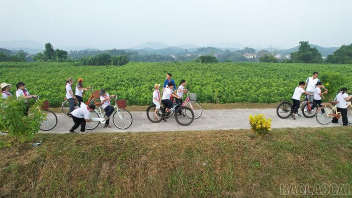 Du khách và học sinh đi xe đạp trên đê Việt Thành, xung quanh là những ruộng dâu xanh mướt.