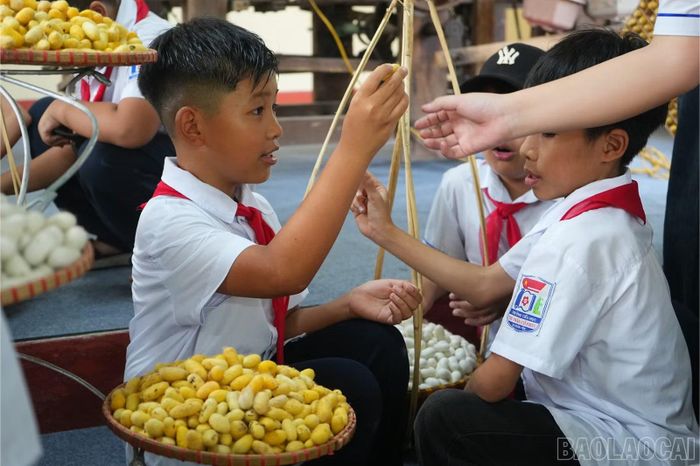Tham quan khu trưng bày sản phẩm địa phương, sản phẩm OCOP.