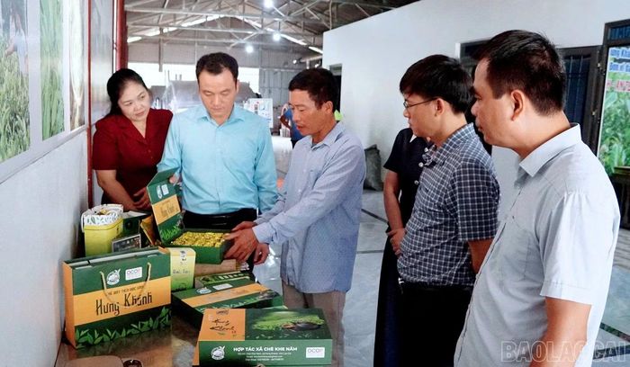 Phó Chủ tịch UBND tỉnh Giàng Quốc Hưng kiểm tra quy trình sản xuất, chế biến các sản phẩm từ chè tại Hợp tác xã chè Khe Năm, xã Hưng Khánh. (Ảnh: Lộc Chầm)