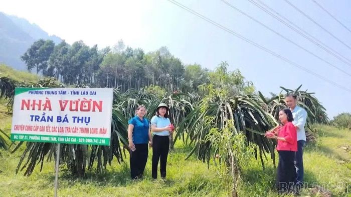 Đoàn công tác kiểm tra cảnh quan, khu vực trải nghiệm và điều kiện đón khách tại nhà vườn Tổ dân phố 7.