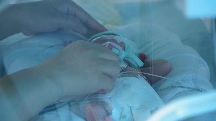 Bé L.M.C. được chăm sóc, theo dõi chỉ số sinh tồn trong lồng ấp cách ly.