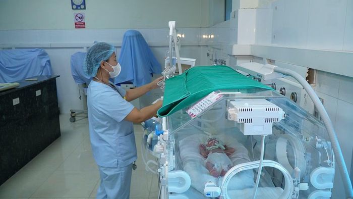 Mỗi năm, Khoa Điều trị Sơ sinh Bệnh viện Sản Nhi tỉnh tiếp nhận, chăm sóc và điều trị gần 300 trẻ sinh non, nhẹ cân.