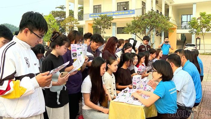 Sinh viên tìm hiểu quyền lợi khi tham gia bảo hiểm y tế.