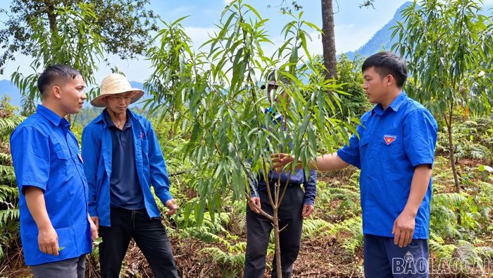 Nhân sự dự tuyển được khuyến khích có kinh nghiệm công tác Đoàn, Hội, Đội, có năng lực tập hợp, vận động thanh niên. (Ảnh: Hoài Anh)