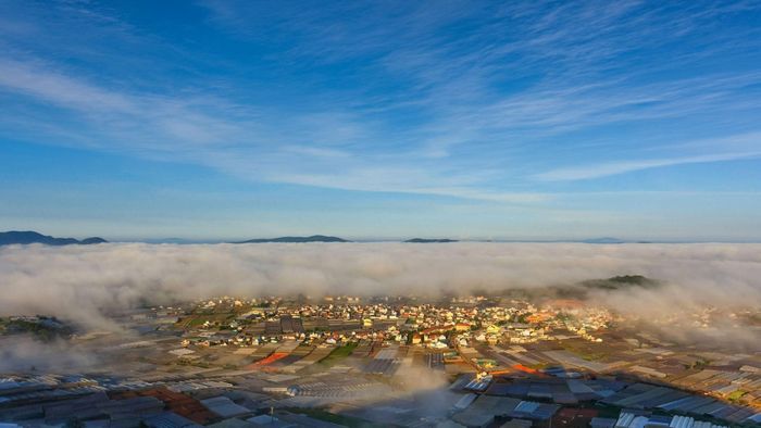 Một góc quang cảnh làng hoa Thái Phiên trong nắng sớm