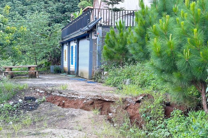 Khu vực sụt lún ven hồ Đắk Lông Thượng, xã Bảo Lâm 2