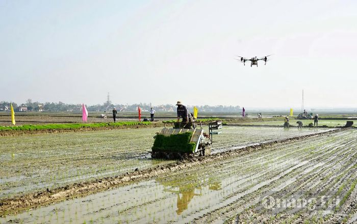 Cơ giới hóa và chuyển đổi số được SEPON Group đưa vào đồng ruộng, góp phần giảm sức lao động và nâng cao hiệu quả sản xuất - Ảnh: L.A