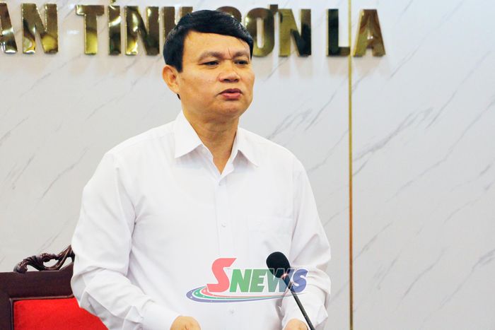 Đồng chí Phó Chủ tịch UBND tỉnh phát biểu tại cuộc làm việc.