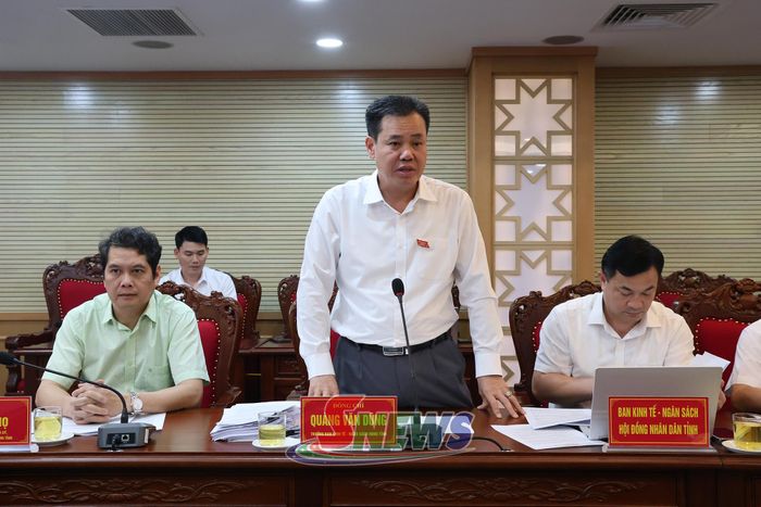 Lãnh đạo Ban Kinh tế - Ngân sách HĐND tỉnh phát biểu ý kiến.
