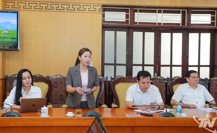 Đại biểu phát biểu tại cuộc họp.
