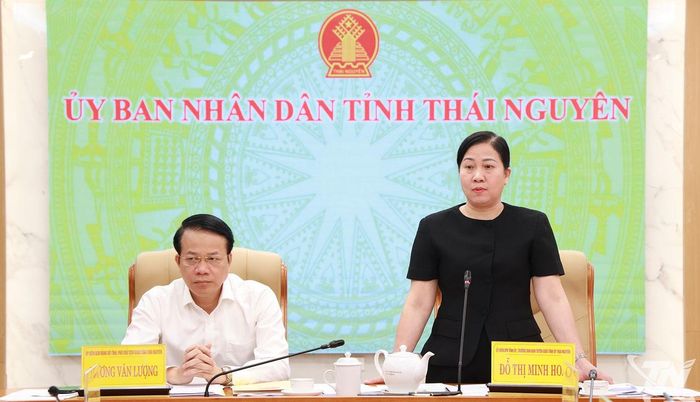Đồng chí Trưởng Ban tuyên giáo Tỉnh ủy Đỗ Thị Minh Hoa phát biểu tại Hội nghị.