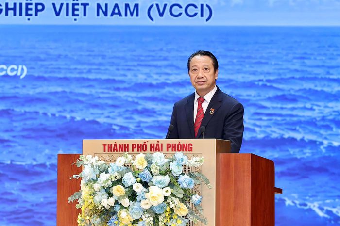 Ông Nguyễn Quang Vinh, Phó chủ tịch Liên đoàn Thương mại và Công nghiệp Việt Nam (VCCI) phát biểu tại hội nghị.