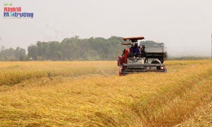 An Giang tăng tốc xuất khẩu, hướng tới vượt mốc 2,6 tỷ USD, tạo đột phá về giá trị hàng hóa và sức cạnh tranh.