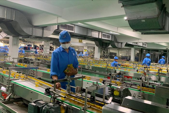 Ảnh minh họa. Nguồn: Báo Hải Phòng