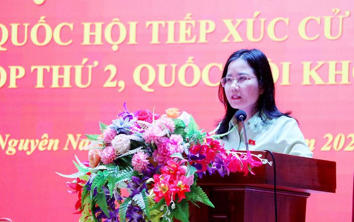 ĐBQH Nguyễn Thị Minh Tú thông tin dự kiến chương trình Kỳ họp thứ Hai. Ảnh: Châu San