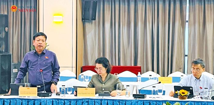 Phó Chủ nhiệm Ủy ban Pháp luật và Tư pháp Nguyễn Trường Giang phát biểu