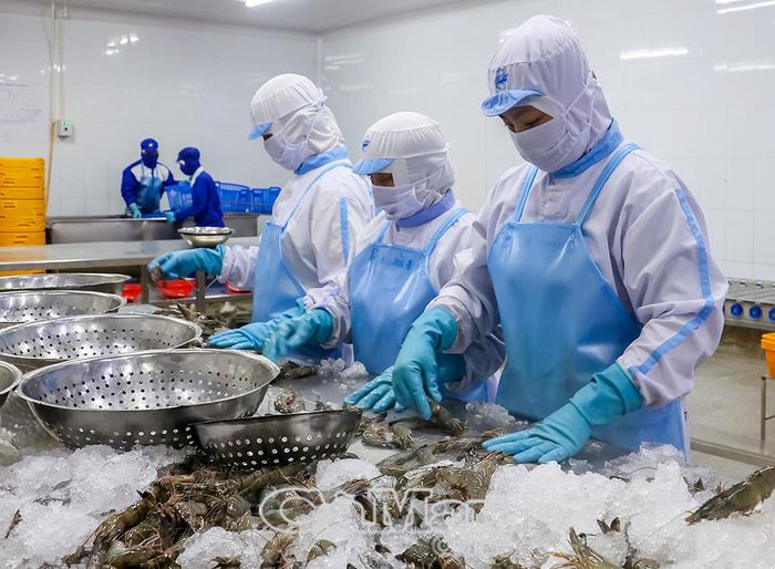 Ban Nghiên cứu chuyên đề của Tỉnh uỷ lựa chọn, tham mưu một số chuyên đề trọng tâm về kinh tế biển, hạ tầng chiến lược, logistics, chuyển đổi số... giúp Tỉnh uỷ chủ động hoạch định các kịch bản phát triển dài hạn. (Ảnh minh hoạ)