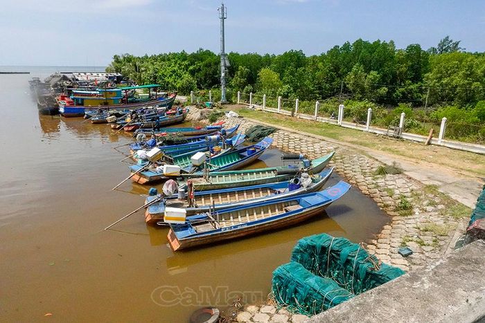 Tuyến đê biển Tây (đoạn thuộc Ấp 5, xã Khánh Lâm) được đầu tư kiên cố. 