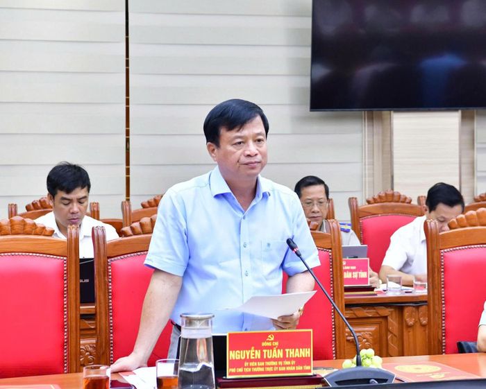 Đồng chí Nguyễn Tuấn Thanh - Uỷ viên Ban Thường vụ Tỉnh uỷ, Phó Chủ tịch Thường trực UBND tỉnh Gia Lai - phát biểu tại buổi làm việc. Ảnh: XUÂN HỒNG