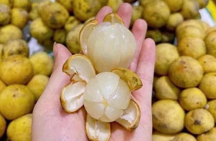 Lòn bon có vị ngọt thanh xen chút chua dịu, hương thơm nhẹ - Ảnh: Internet