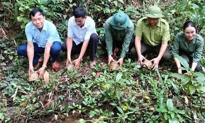 Thả các động vật về với tự nhiên.