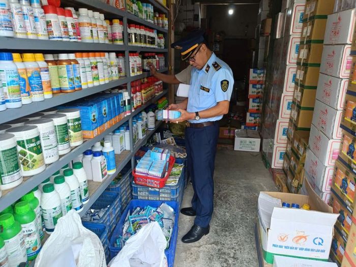  Kiểm tra các mặt hàng thuốc bảo vệ thực vật tại cơ sở kinh doanh nhằm kịp thời phát hiện vi phạm. Ảnh: Chi cục Quản lý thị trường tỉnh Cà Mau. 