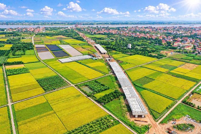 Cầu dẫn thuộc dự án cầu Vân Phúc (đoạn qua địa bàn xã Phúc Thọ, thành phố Hà Nội).