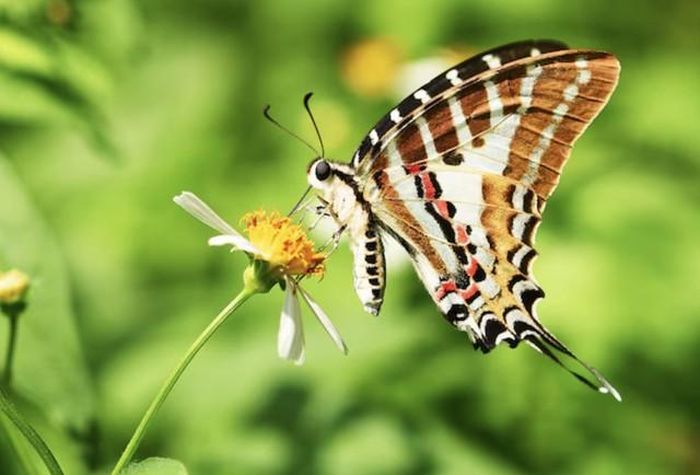 Sự tò mò giúp người sinh tháng 6 Âm lịch tiếp cận nhiều lĩnh vực mới, trong khi tinh thần cầu thị khiến họ sẵn sàng lắng nghe góp ý và nhìn nhận những thiếu sót của mình. Ảnh minh họa