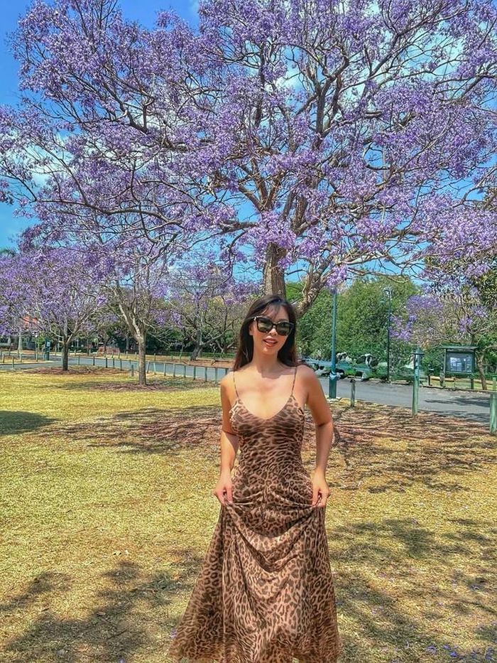 Siêu mẫu Hà Anh cho biết, theo gợi ý của bạn bè trên Facebook đang sinh sống tại Brisbane (Úc), gia đình cô đã tới New Farm Park để các con vui chơi tại khu vận động ngoài trời dành cho trẻ em, đồng thời ngắm hoa phượng tím nở.