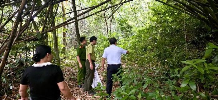 Trăn gấm 11,5kg được giải cứu, thả về rừng. ẢNH: T.Đ