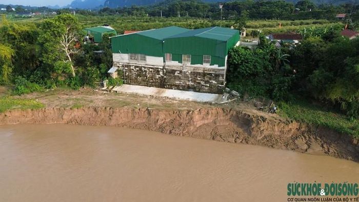 Sạt lở bờ sông Lam đoạn qua xã Con Cuông đang tiến sát nhà dân, đe dọa an toàn khu dân cư. Ảnh: Song Hoàng