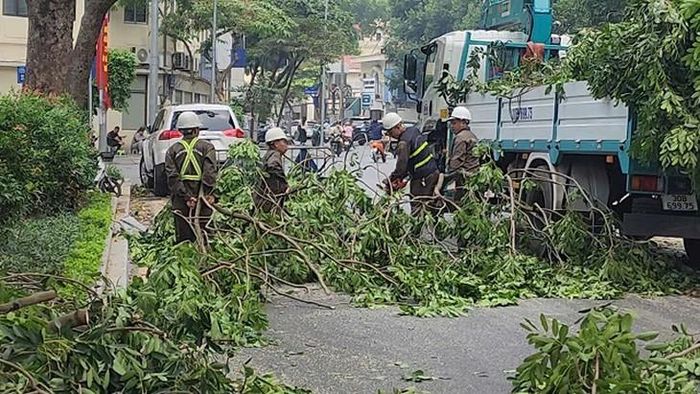 Các công nhân đang thu dọn cành cây, tán lá. Ảnh: V.A.