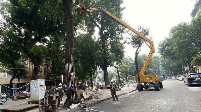 Cũng trong sáng 13/10, các công nhân tổ 4 cũng đang cắt tỉa cây xanh tại phố Tăng Bạt Hổ. Ảnh: V.A.