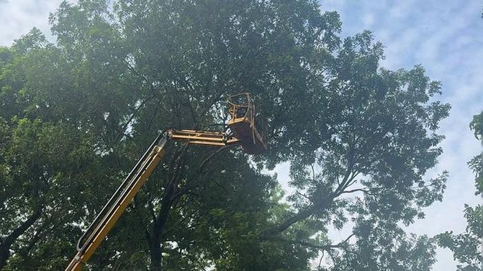 Các công nhân đang làm việc tại độ cao hàng chục mét. Ghi nhận lúc gần 9h sáng ngày 13/10. Ảnh: V.A.