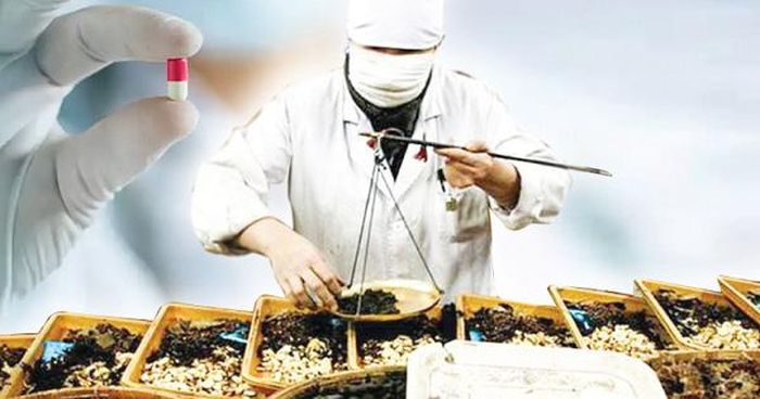 Chiến lược Quốc gia phát triển nền y học cổ truyền Việt Nam đến năm 2030, tầm nhìn đến năm 2045 xác định phát triển y học cổ truyền là nhiệm vụ chiến lược, thường xuyên, lâu dài; gắn bảo vệ, chăm sóc và nâng cao sức khỏe nhân dân với phát huy tinh hoa văn hóa dân tộc, phát triển kinh tế và hội nhập quốc tế. Ảnh: TL