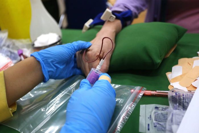 Mỗi giọt sinh phẩm được thu nhận hôm nay không đơn thuần là một dữ liệu khoa học, mà là một chiếc cầu nối linh thiêng nối liền quá khứ với hiện tại đoàn tụ