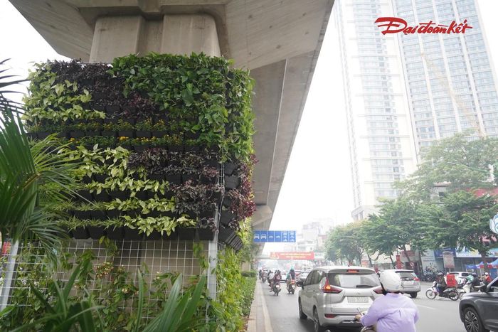 Từ thực tế này, việc mở rộng thí điểm tại các trụ đường sắt trên cao, cầu vượt, hầm chui và nhà chờ xe buýt được kỳ vọng tạo thêm những mảng xanh tại các tuyến đường có mật độ giao thông cao. Tuy nhiên, hiệu quả của phương án không chỉ phụ thuộc vào hình thức bố trí ban đầu mà còn ở khả năng duy trì cây xanh trong quá trình khai thác công trình.