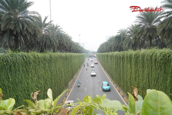 Việc thí điểm phủ xanh hạ tầng giao thông là một hướng bổ sung mảng xanh cho Hà Nội trong điều kiện không gian đô thị ngày càng hạn chế. Kết quả triển khai tại các vị trí được lựa chọn sẽ là cơ sở để đánh giá tính phù hợp, khả năng duy trì và xem xét mở rộng mô hình tại những công trình khác trong thời gian tới.