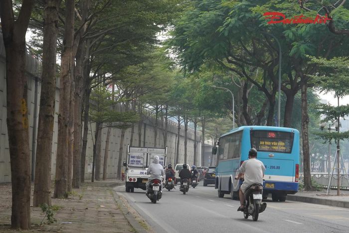 Đối với các vị trí nằm gần đường xe chạy, việc lựa chọn chủng loại cây, thiết kế giá đỡ và bố trí chậu cần bảo đảm an toàn giao thông, không ảnh hưởng tầm nhìn của người điều khiển phương tiện, hệ thống thoát nước và hoạt động kiểm tra, bảo trì hạ tầng.