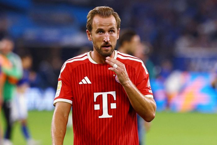 Bayern có cơ hội trút giận lên Viking.
