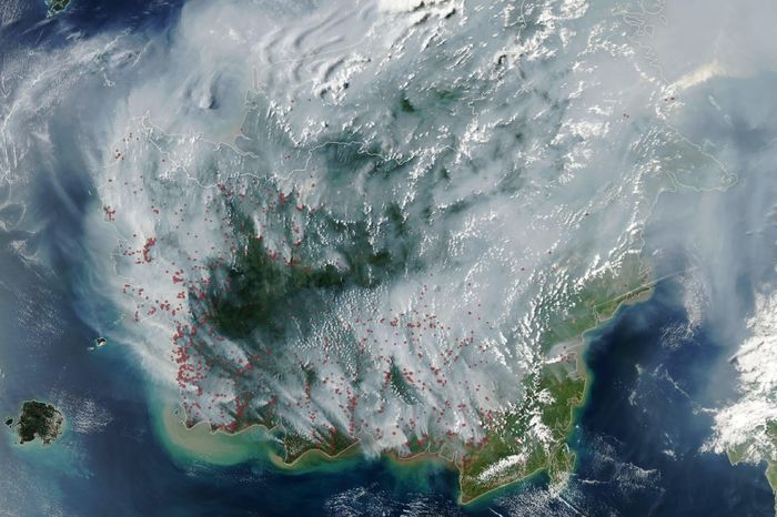  Ảnh vệ tinh của NASA chụp đảo Borneo với các chấm đỏ chỉ ra những khu vực đã phát hiện cháy. Cháy than bùn là một thách thức thường xuyên ở Indonesia. Ảnh: Nasa. 