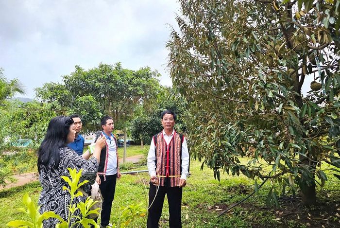 Một trong những nội dung trọng tâm của Hội thảo “Nông sản Việt: Từ trang trại lên bàn ăn thế giới” đó là tập trung xây dựng thương hiệu và kết nối đầu ra